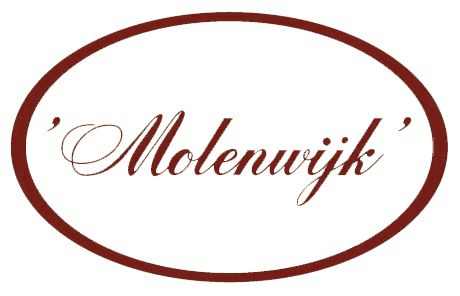 Kledingreparatie_Molenwijk_logodeel_a3.png